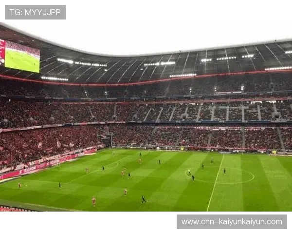 英超球场平均上座率统计，多支球队主场上座超95%